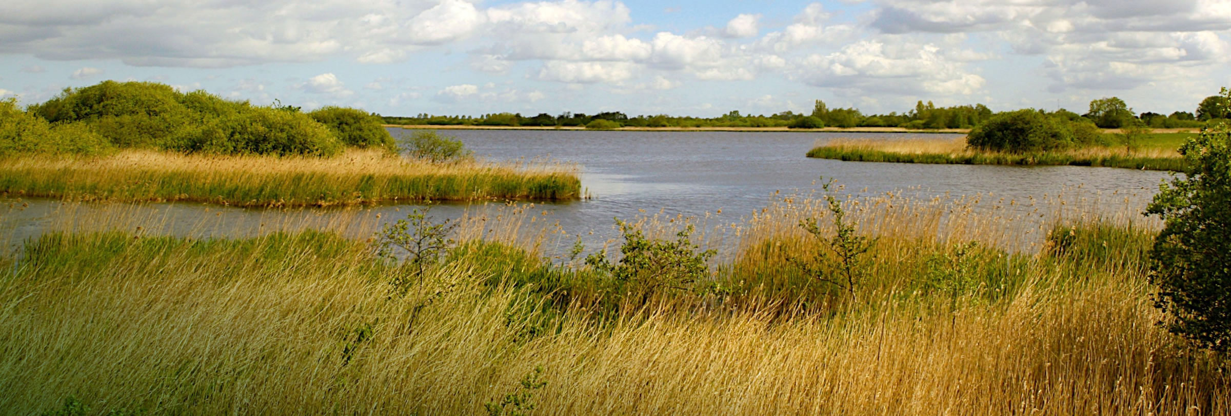Stichting Hamel Fundatie